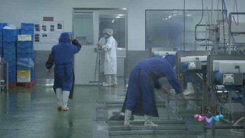 扬州市市场监督管理局 以“硬核监管”与“周到服务”双轮驱动，筑牢餐饮安全防线